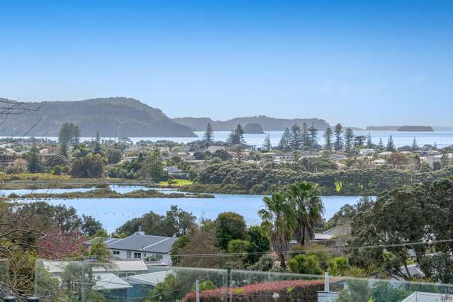 One Level Living + Room for Extras + Views