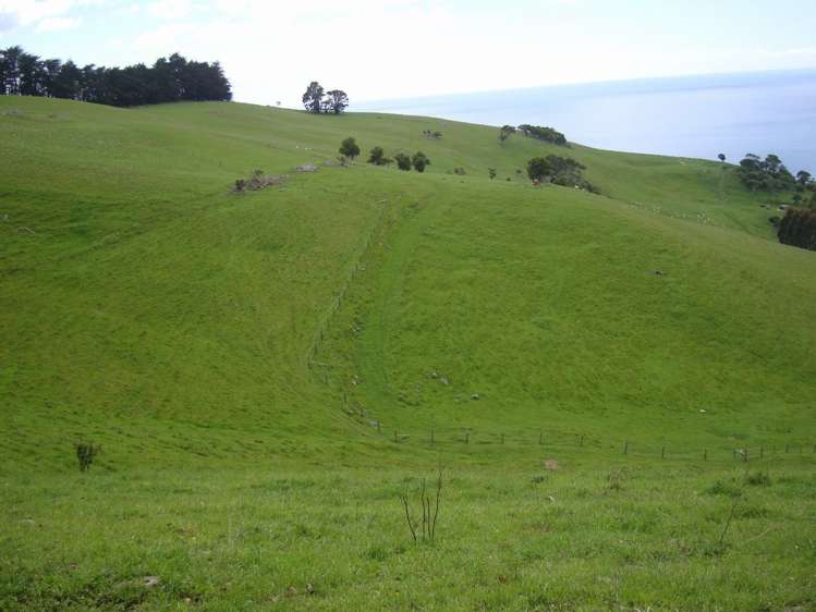 94 Stead Road Evansdale_8