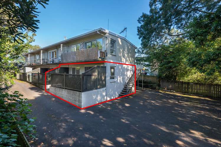 4/8 Edenvale Park Road Mt Eden_19