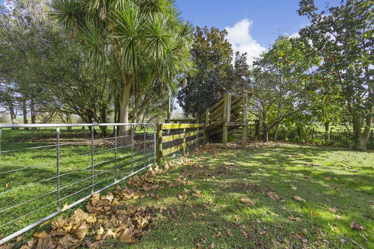 19 Appleton Lane Eureka_23