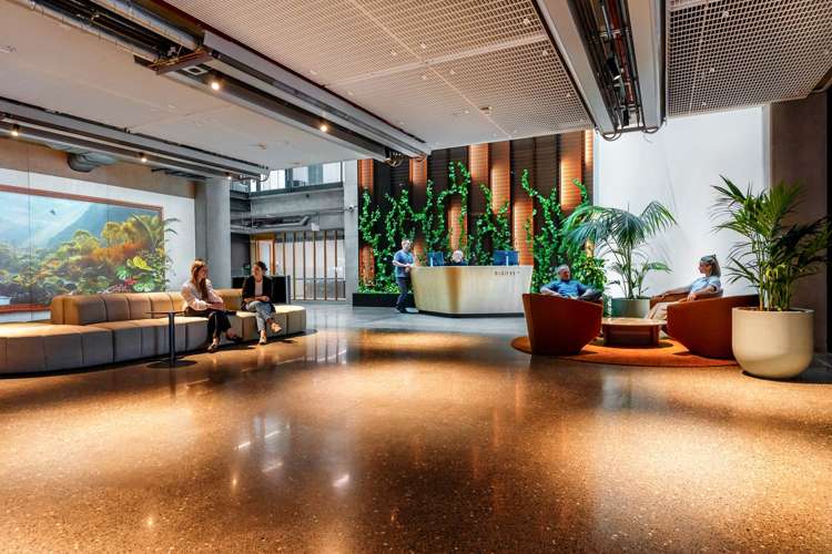 Level 2/74-78 Taharoto Road Takapuna_15