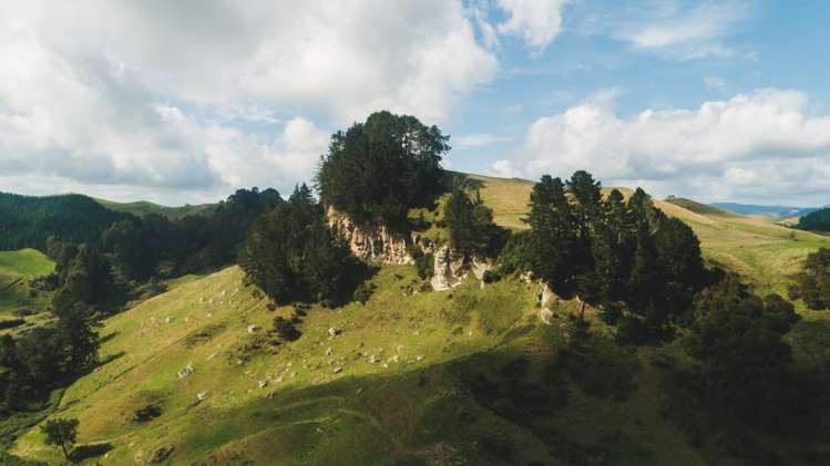 617 Dunkirk Road Atiamuri_36