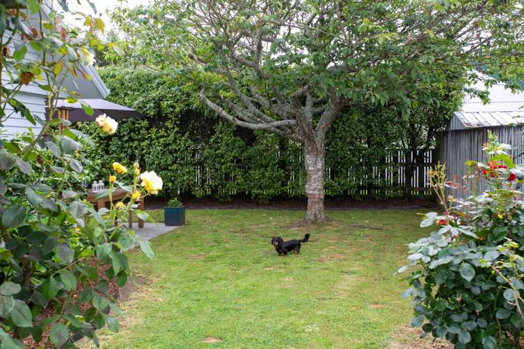 49a Arnold Street Leamington_16