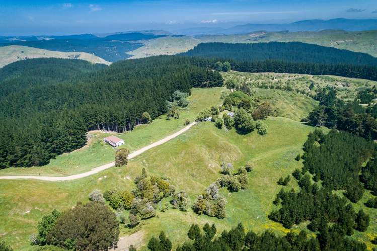 1447 Ridgemount Road Tutira_18