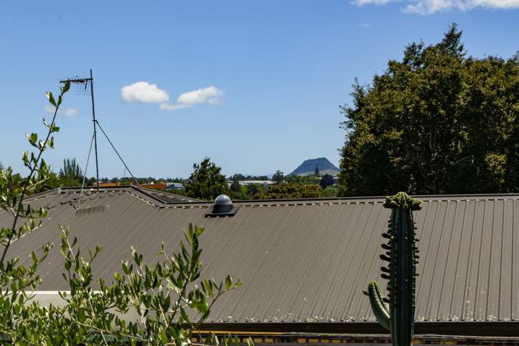 15a Hilltop Road Parkvale_32