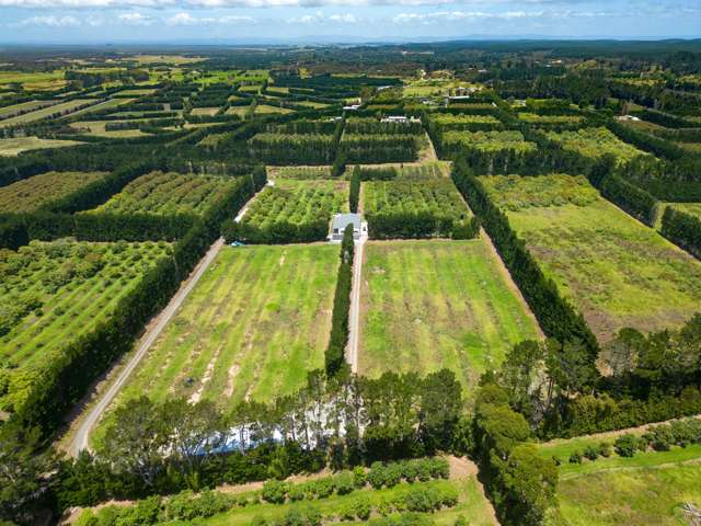 100 Whalers Road Pukenui_2