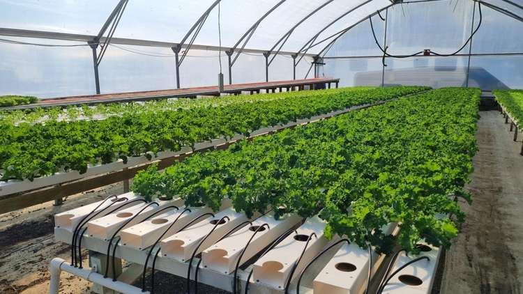 116 Wingatui Road Mosgiel_33