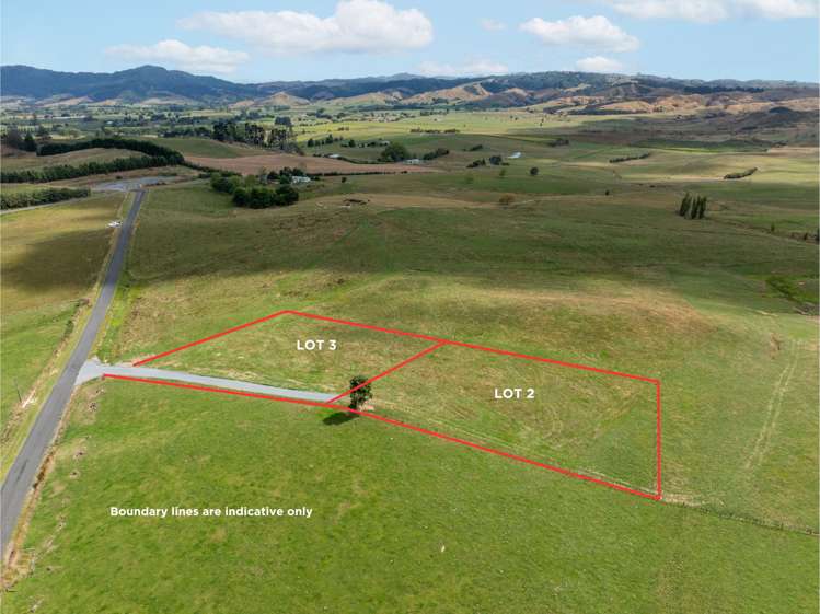 - Quine Road Morrinsville_2
