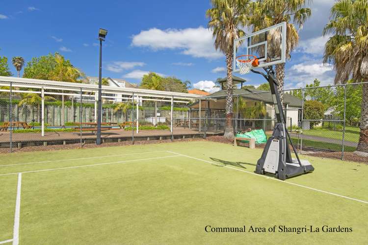 6 Serene Place Gulf Harbour_17