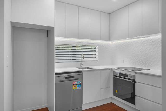 258b Selwyn Street Spreydon_1