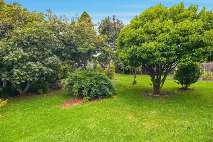 3/9 August Place Greenlane_17