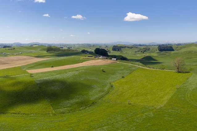78 Smith Road Otorohanga Surrounds_2