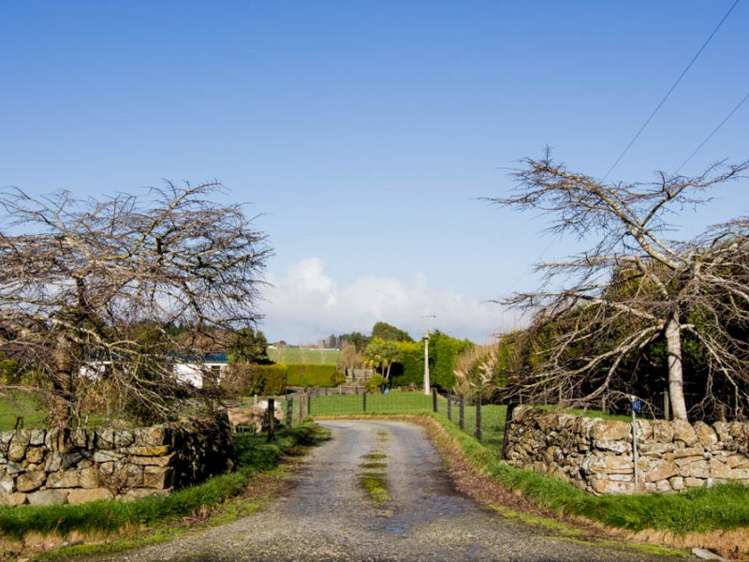 542 Flora East Makarewa_8