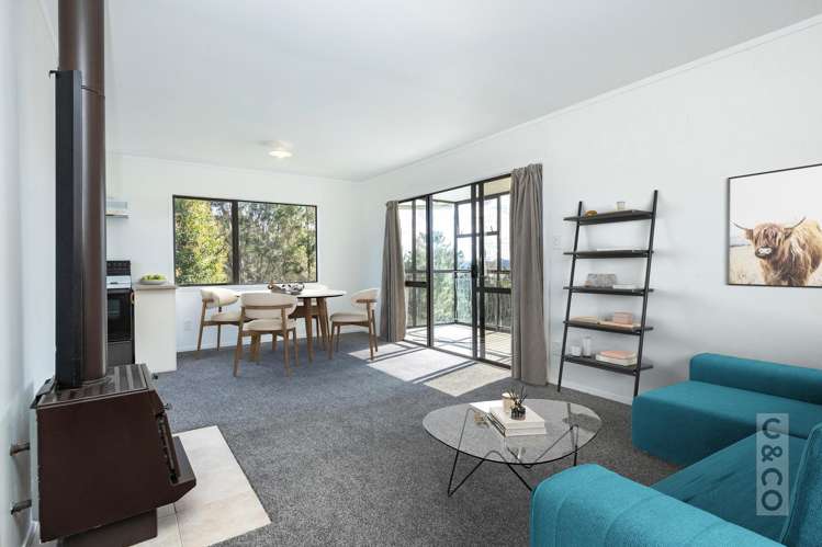 46 Potter Road Dairy Flat_41