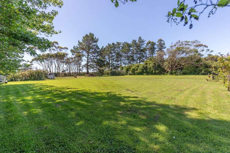 Pandora Avenue Camerons_18