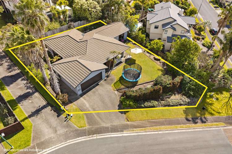 2 Rakau Views Orewa_1