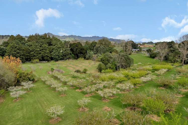 159 Tangihua Road Maungakaramea_42