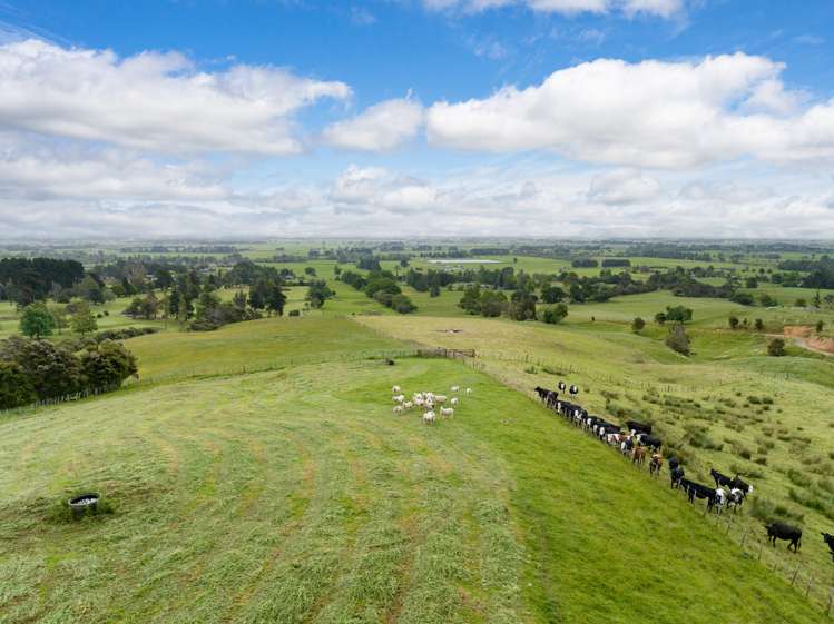 93 Tui Road Te Aroha_33