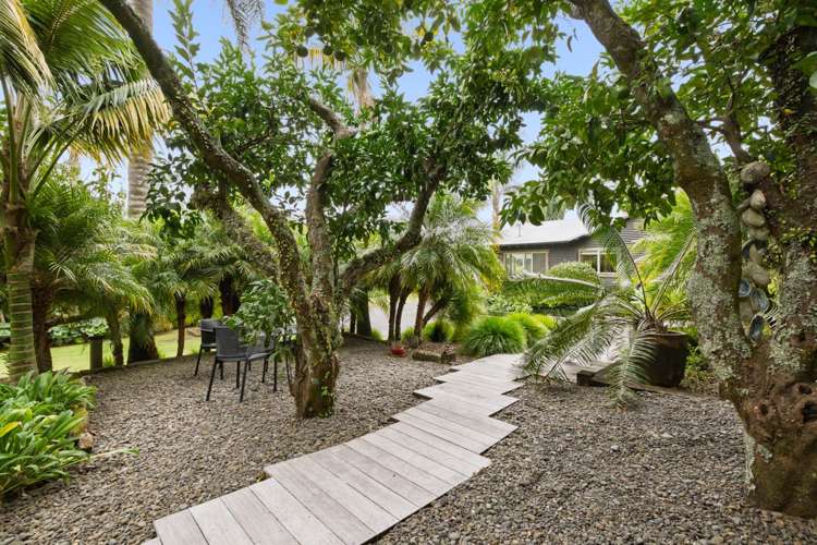 317 Pahoia Road Whakamarama_18