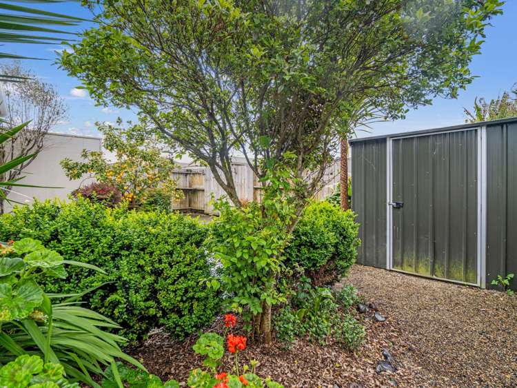 131 Boundary Road Claudelands_21