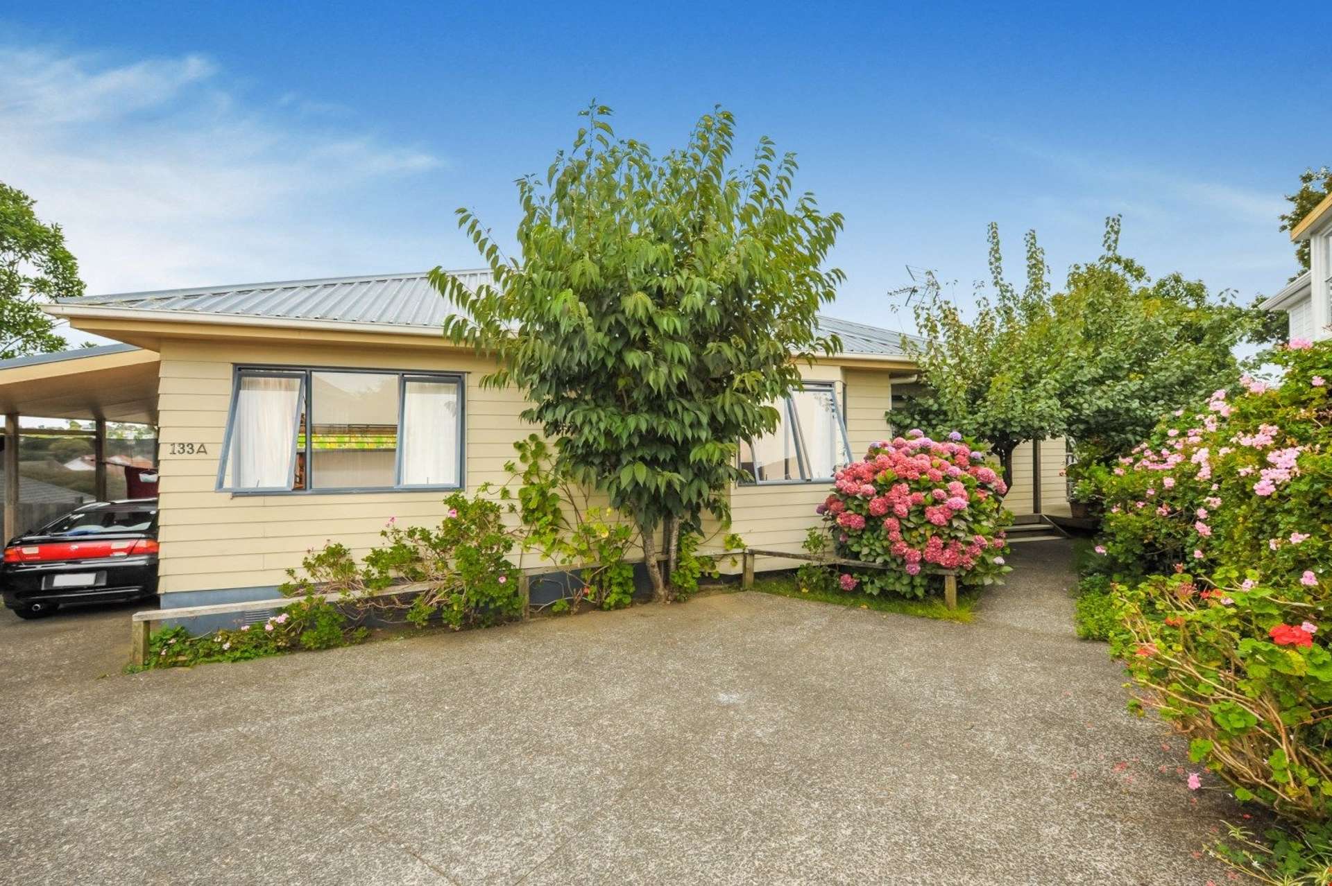 133a Richardson Road Mount Albert_0