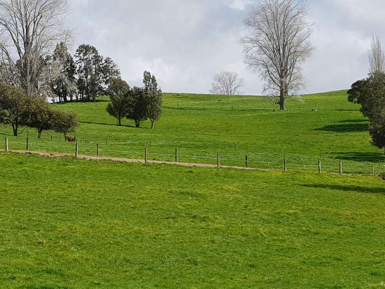 7045 State Highway 1 Pakaraka_24