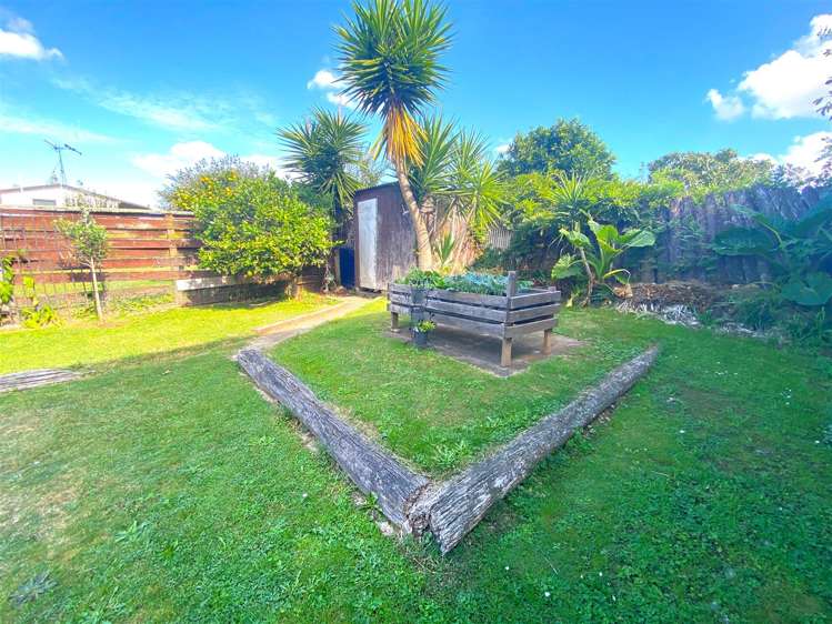 53 Wynyard Street Te Awamutu_13