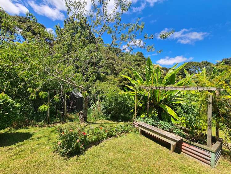 Site 3/180 Driving Creek Road Coromandel_18