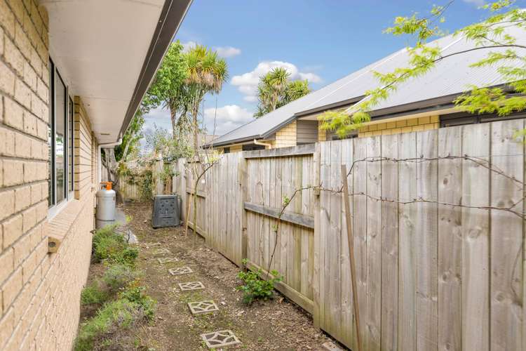 22a Pearsons Avenue Claudelands_19