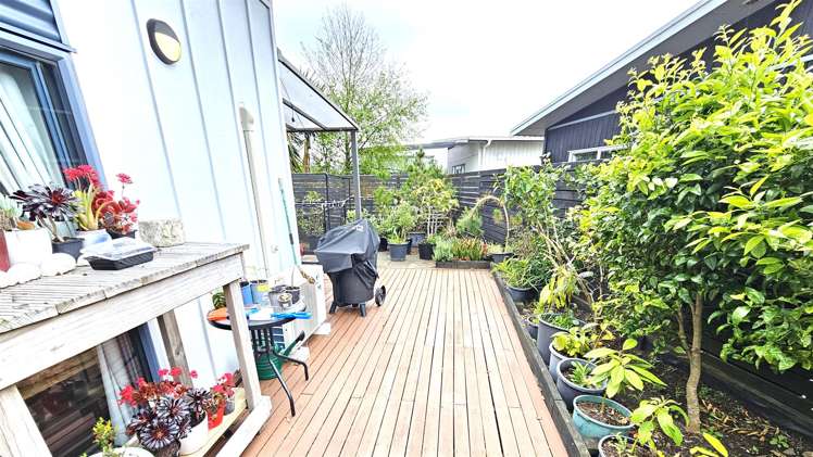 125 Ngaio Drive Matarangi_12