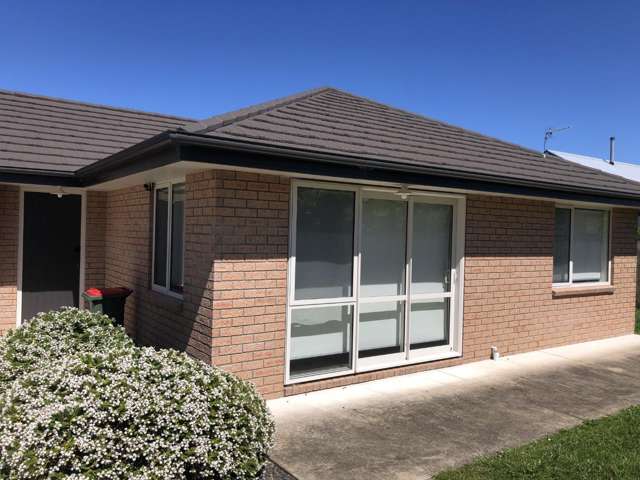 36A Karaka Street 1112_3