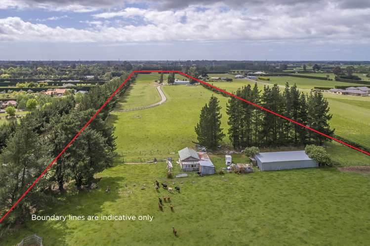 561 Johns Road Fernside_4