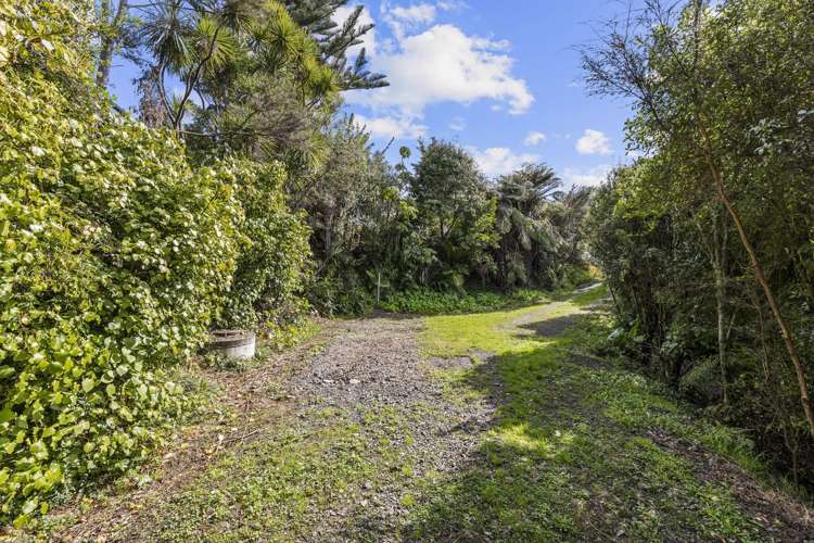 3B Snowden Place Raglan_6