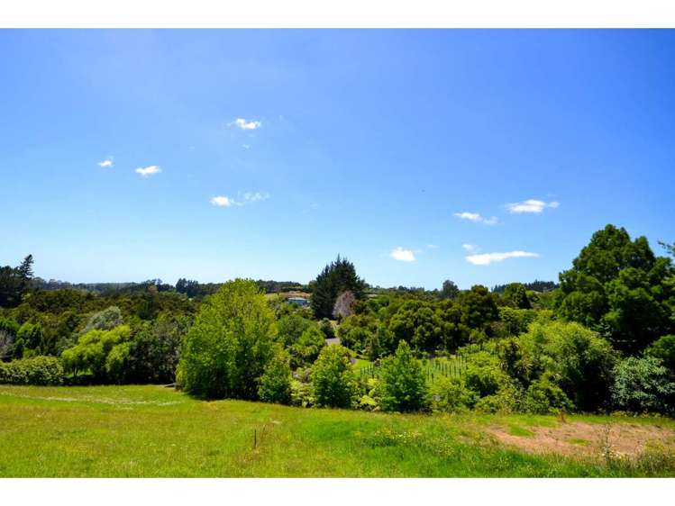 Blue Gum Lane Kerikeri_8