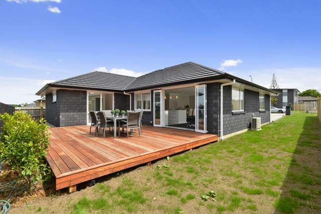 19 Regis Park Drive Pukekohe_1