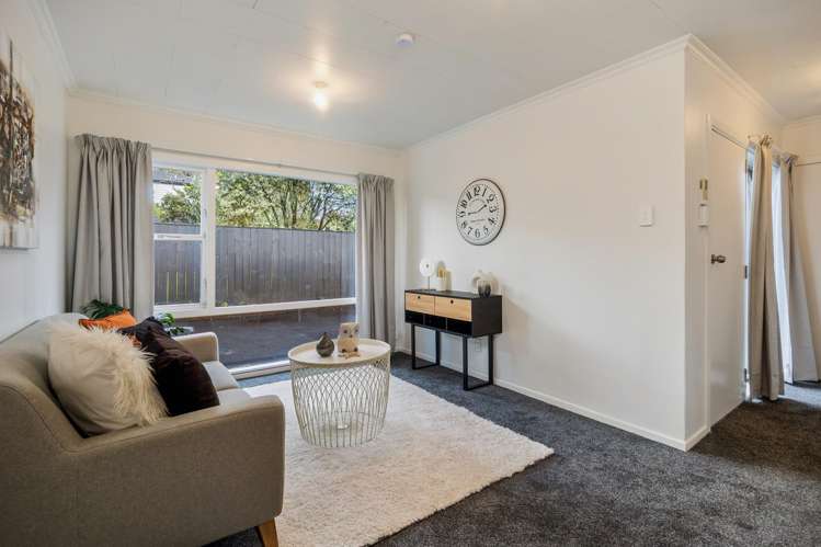 20B Springleigh Ave Mount Albert_1