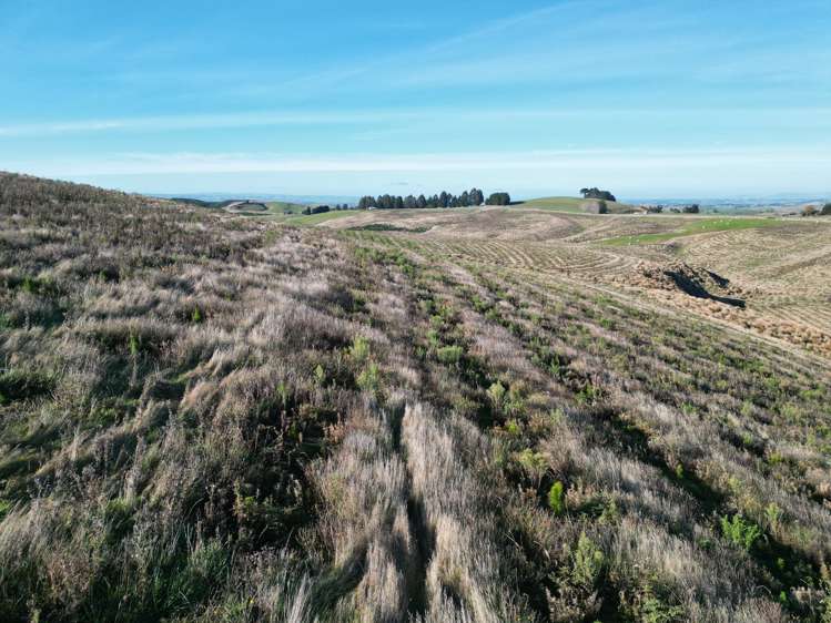 Lot 2/339 Rankleburn Road Rankleburn_8
