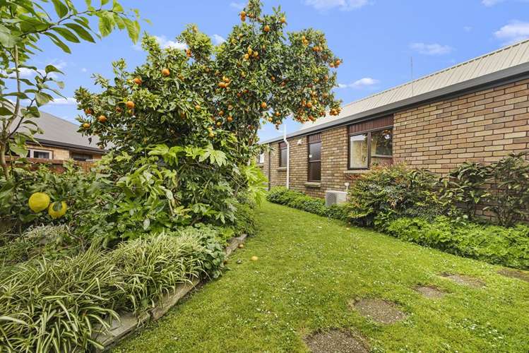 60 Stirling Drive Morrinsville_33