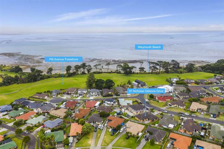 37 Nicholas Gibbons Drive Clendon Park_14