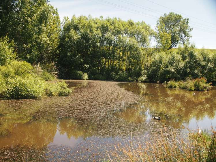 210 Terry Road Gore_19