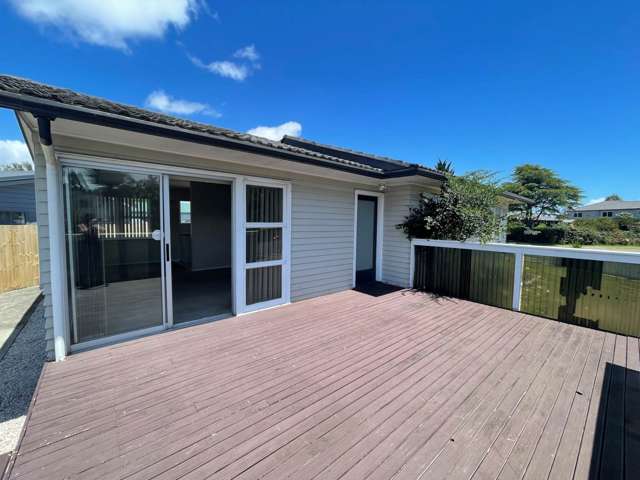 66 Raglan Street Mangere East_2