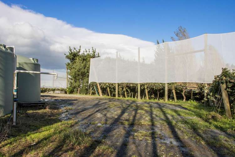 175 Busby Road Katikati_8