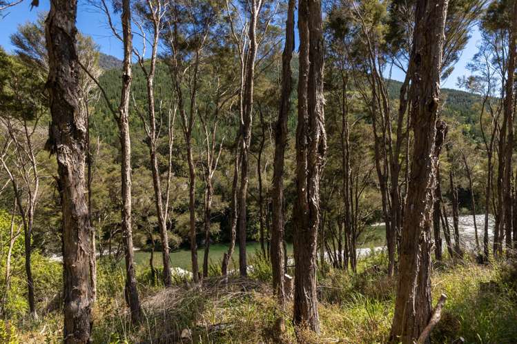 472 Wakamarina Road Canvastown_19