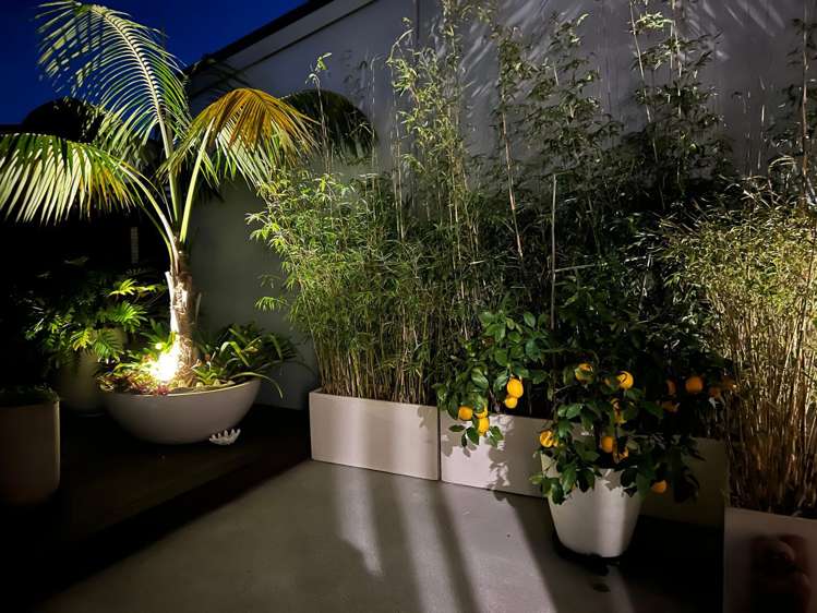 2/110 Hobsonville Point Road Hobsonville Point_15