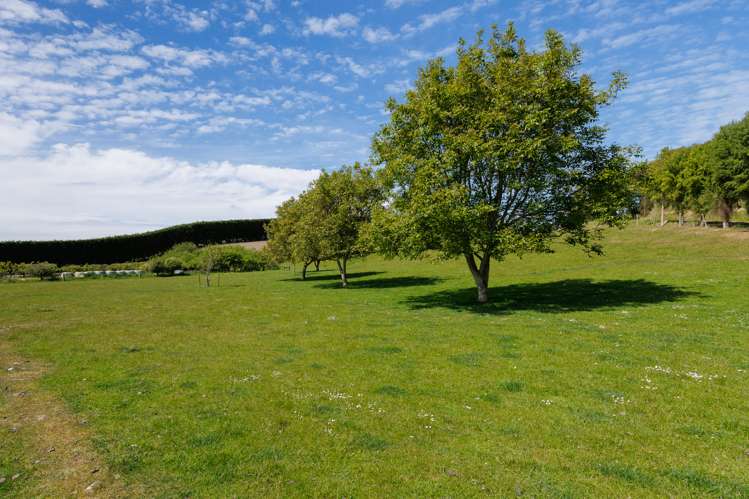 277 Hook School Road Makikihi_21