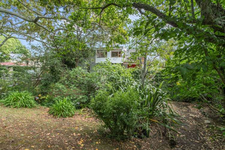 46 Vincent Street Howick_8