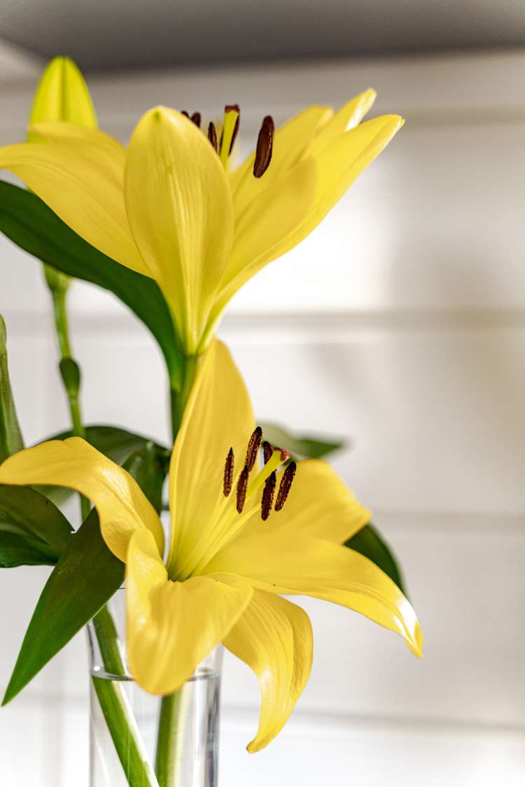 4/280 Halswell Road Halswell_11