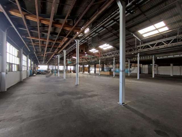 Warehouse B/6-8 Fort Richard Road City Centre_2