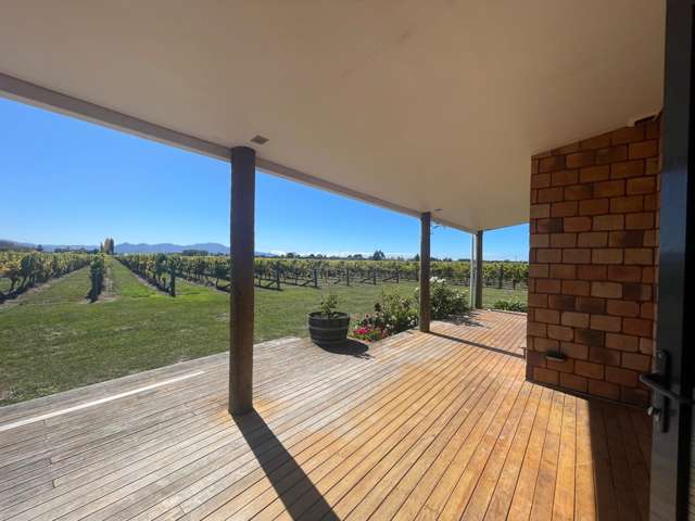  87 Dry Hills Lane Riverlands_4