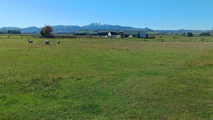 321 Clayton Road Fairlie_24